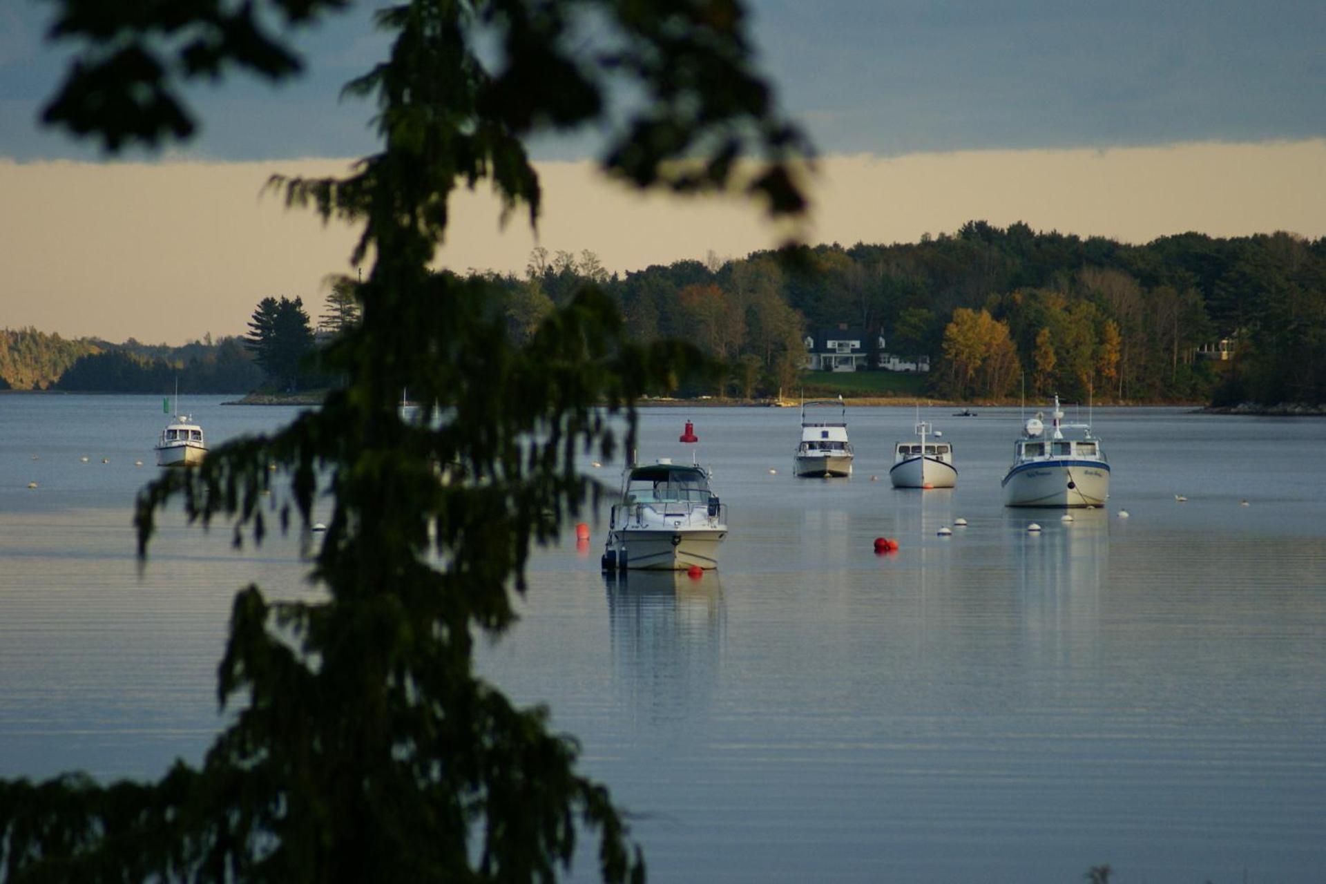 Fisherman'S Daughter B&B Mahone Bay Esterno foto